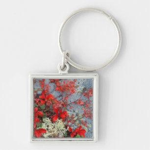 Chaveiro NA, EUA, Alaska, Denali NP, Bear berry e