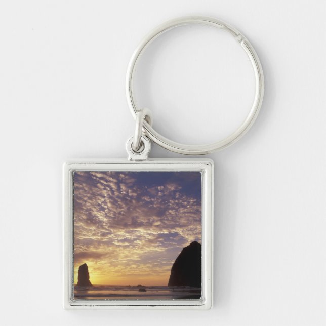Chaveiro NA, EUA, Oregon, Costa de Oregon, Canon Beach com (Frente)