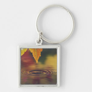 Chaveiro NA, EUA, Pacífico Noroeste