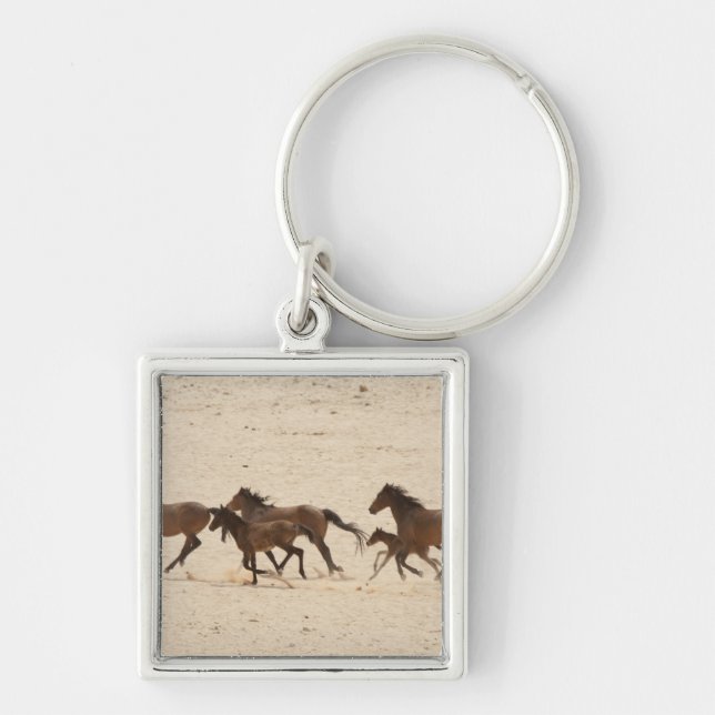 Chaveiro Namíbia, Aus. Grupo de cavalos selvagens correndo  (Frente)