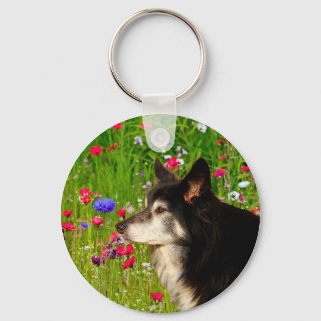 Chaveiro Namorados Border Collie com belas flores (Frente)