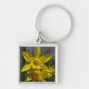 Chaveiro narcisos