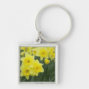 Chaveiro Narcisos RF)
