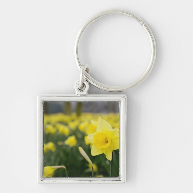Chaveiro Narcisos (RF) (Frente)