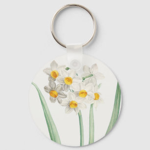 Chaveiro Narcissus, Pierre-Joseph Redouté, 1805