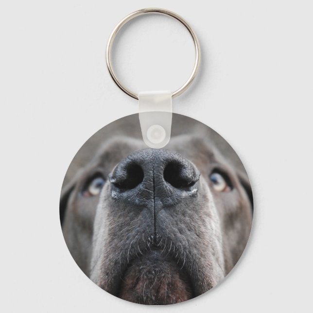 Chaveiro Nariz de Dogue (Frente)