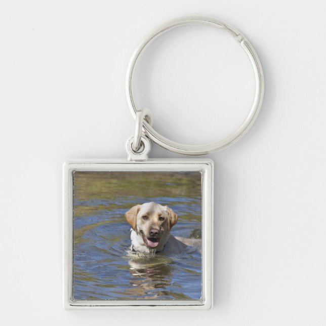 Chaveiro Natação do cão (Frente)