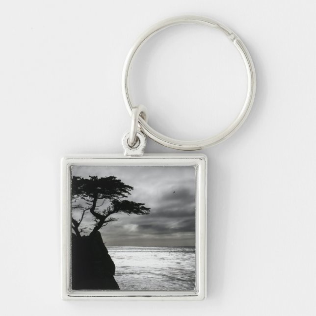 Chaveiro Natureza Fotografia preto e branco (Frente)