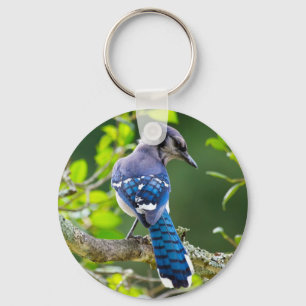 Chaveiro Natureza Fotografia Shy Blue Jay Roupa presente