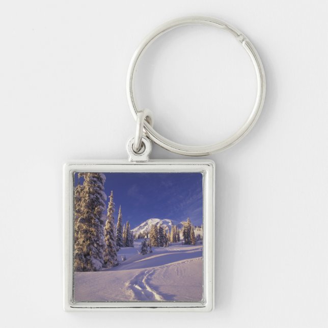 Chaveiro NE, EUA, Washington, Mt. Rainier NP, Neve profunda (Frente)