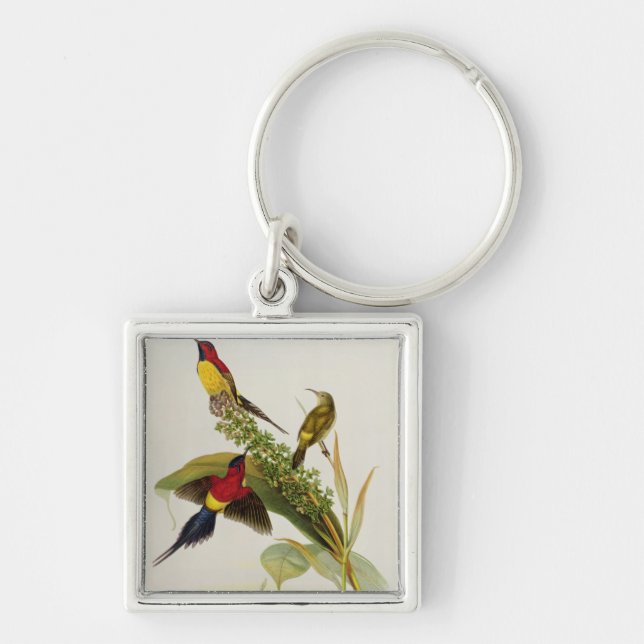 Chaveiro Nectarinia Gouldae (Frente)