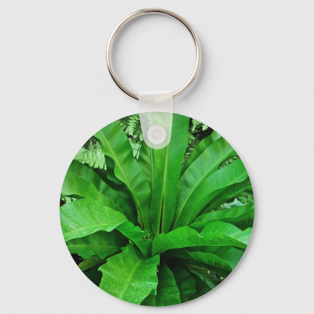 Chaveiro Nest Fern de Bird (Frente)