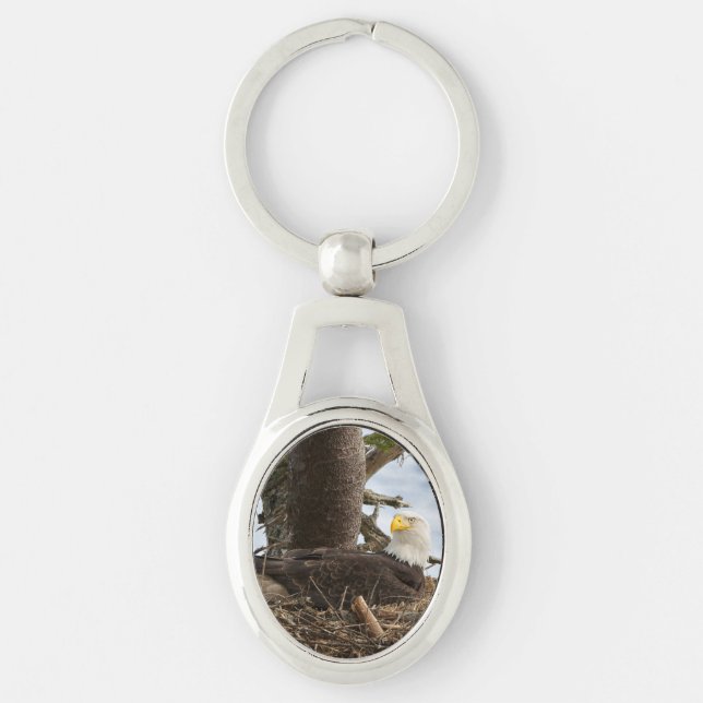 Chaveiro Nesting Bald Eagle (Frente)