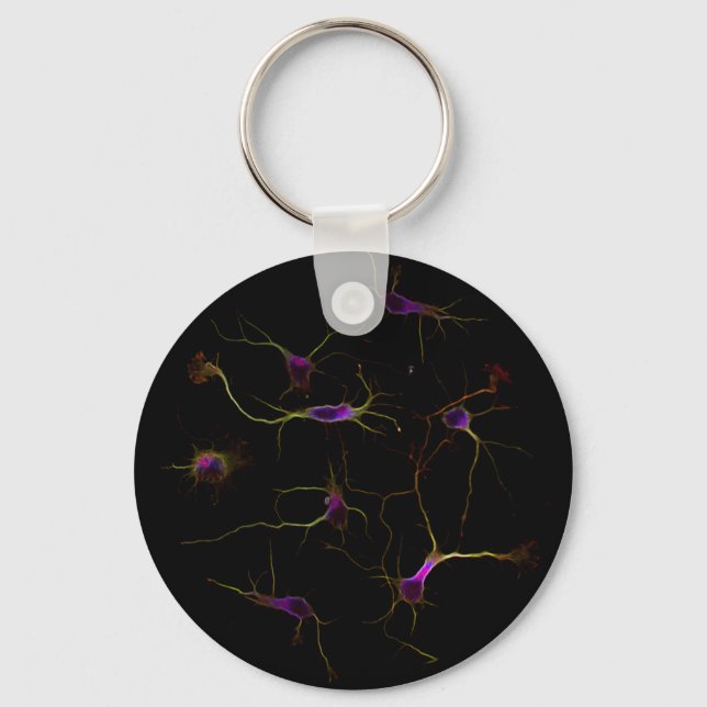 Chaveiro NeuronRoots KeyRing (Frente)