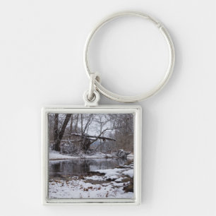 Chaveiro Neve Em Finley