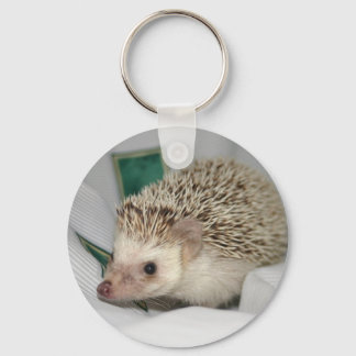 Chaveiro Neve Padrão hh