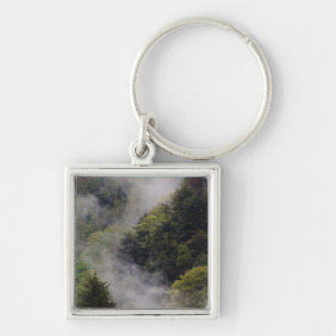 Chaveiro Névoa subindo da encosta da montanha após chuva de