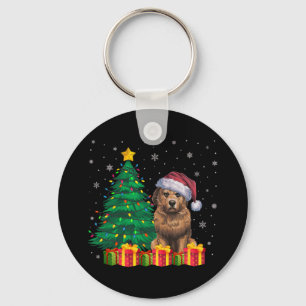 Chaveiro Noel Briard Noel Hat Noite Voz de Natal Cachorro L