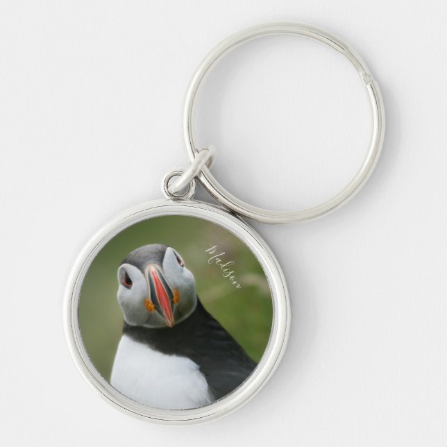 Chaveiro Nome personalizado Cadeias-chave Puffin (Frente)