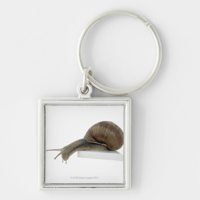 Chaveiro Normalsnail (Frente)