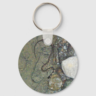 Chaveiro Nortes De Bebê Cobra De Água (Nerodia sipedon)