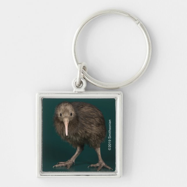 Chaveiro North Island Brown Kiwi (Frente)