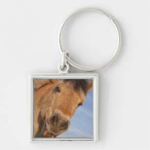 Chaveiro Northumberland, Inglaterra 2