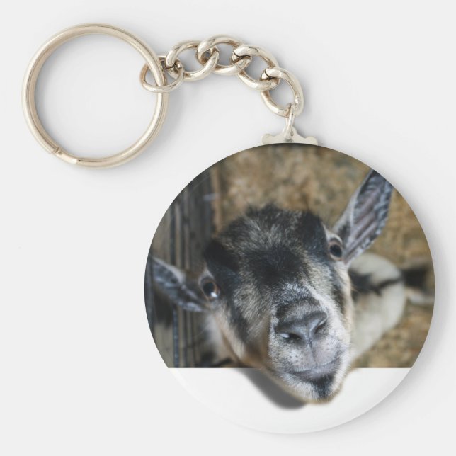 Chaveiro Nosy Goat Olhando (Frente)