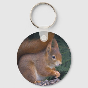 Chaveiro Nut Brunch Keyring