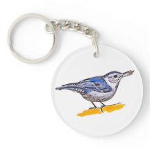 Nuthatch