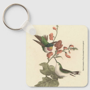 Chaveiro O beija-flor de garganta vermelha ou de garganta s