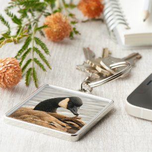 Chaveiro O Canadá ganha no lago