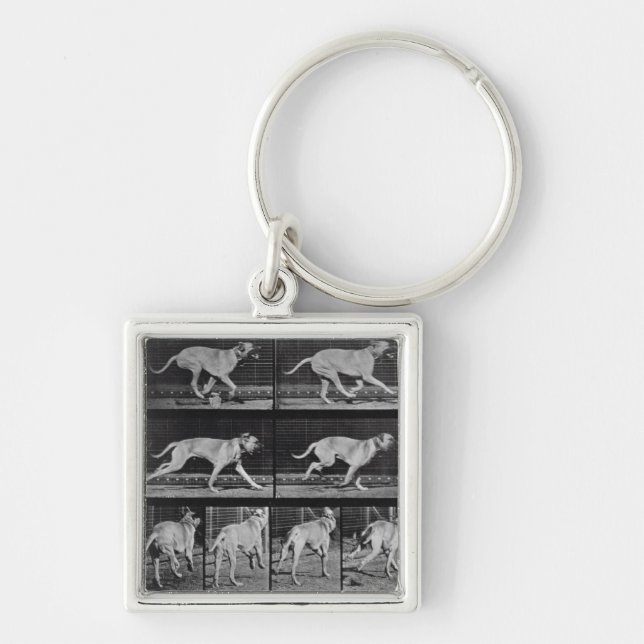 Chaveiro O cão Running, chapeia 707 "da locomoção animal", (Frente)