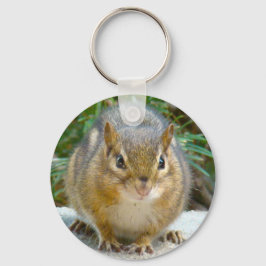 Chaveiro O Chipset Bonito Está De Olho Em Você