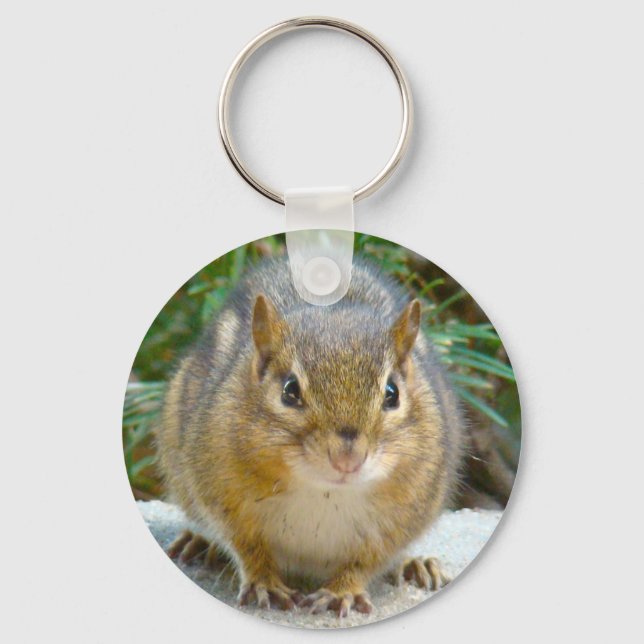 Chaveiro O Chipset Bonito Está De Olho Em Você (Frente)