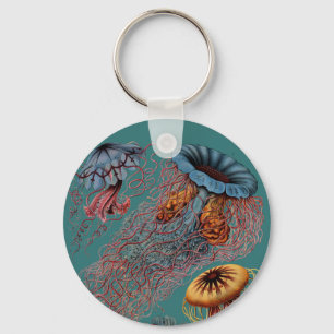 Chaveiro O disco Medusae de Ernst Haeckel