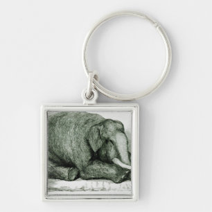 Chaveiro O elefante inoperante
