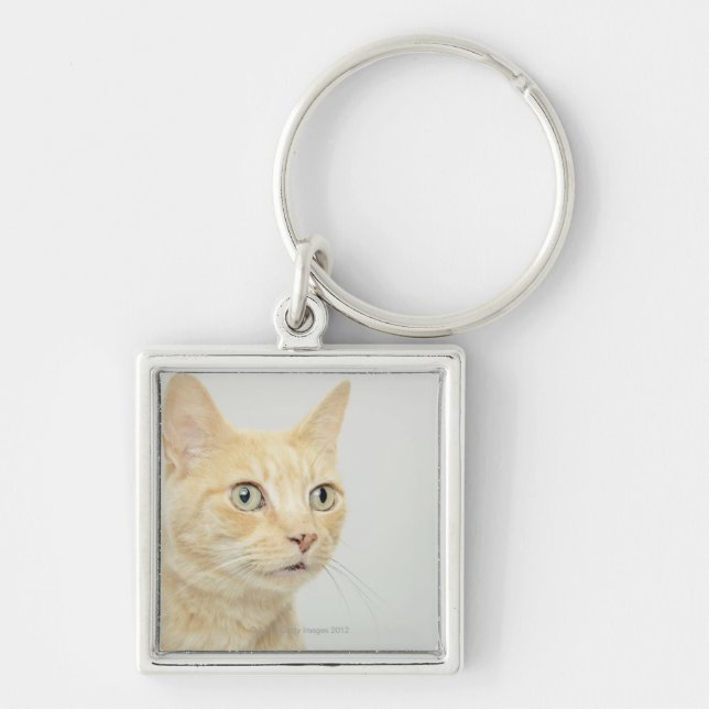 Chaveiro O gato com olhos abre largamente (Frente)
