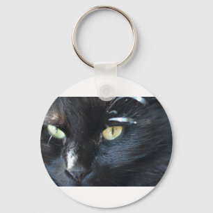 Chaveiro O Gato Está de Olho em Você