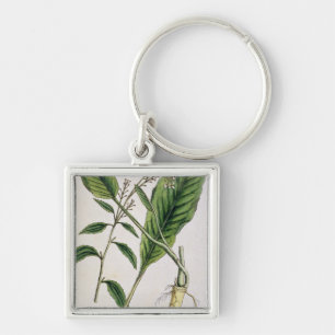 Chaveiro O Horseradish, chapeia 415 "de um erval curioso",
