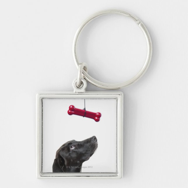 Chaveiro O laboratório preto misturou o cão com o osso de (Frente)