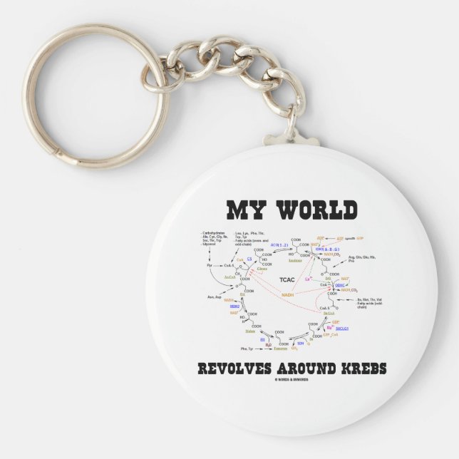 Chaveiro O Meu Mundo Revolve-Se Em Círculos (Ciclo Energéti (Frente)