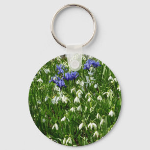 Chaveiro O montanhês do primavera adiantado floresce a