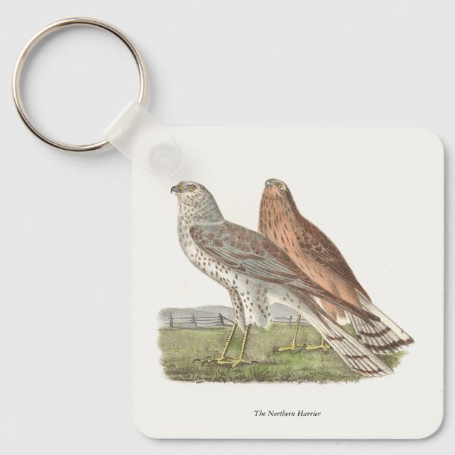 Chaveiro O Norte Harrier NY Bird (Frente)