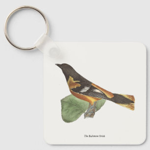 Chaveiro O Ouro ou Baltimore Oriole (Icterus galbula)