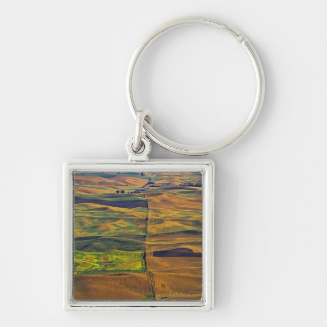 Chaveiro O Palouse a partir de Steptoe Butte, Colfax, (Frente)