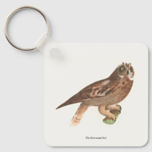 Chaveiro O Pássaro de Nova Iorque (Otus palustris)