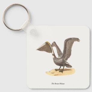 Chaveiro O Pelicano marrom (Pelecanus occidentalis) NY Bird
