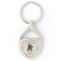 O que há num Pugaccino-Cute Dog-Pug-