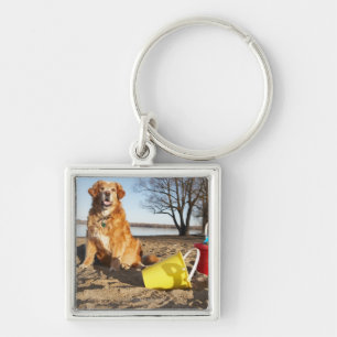 Chaveiro O retrato do cão na praia com areia brinca,